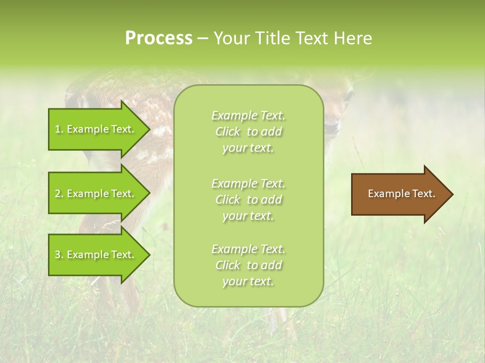 Spring Meadow Hunting PowerPoint Template