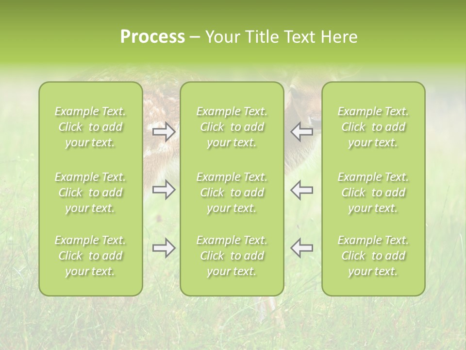 Spring Meadow Hunting PowerPoint Template