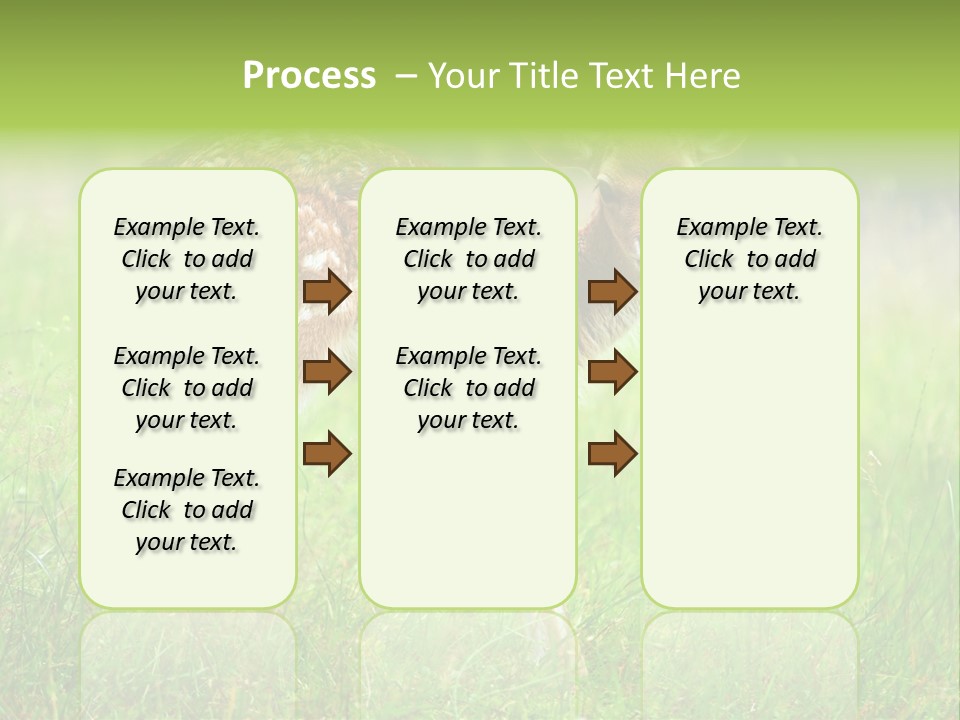 Spring Meadow Hunting PowerPoint Template