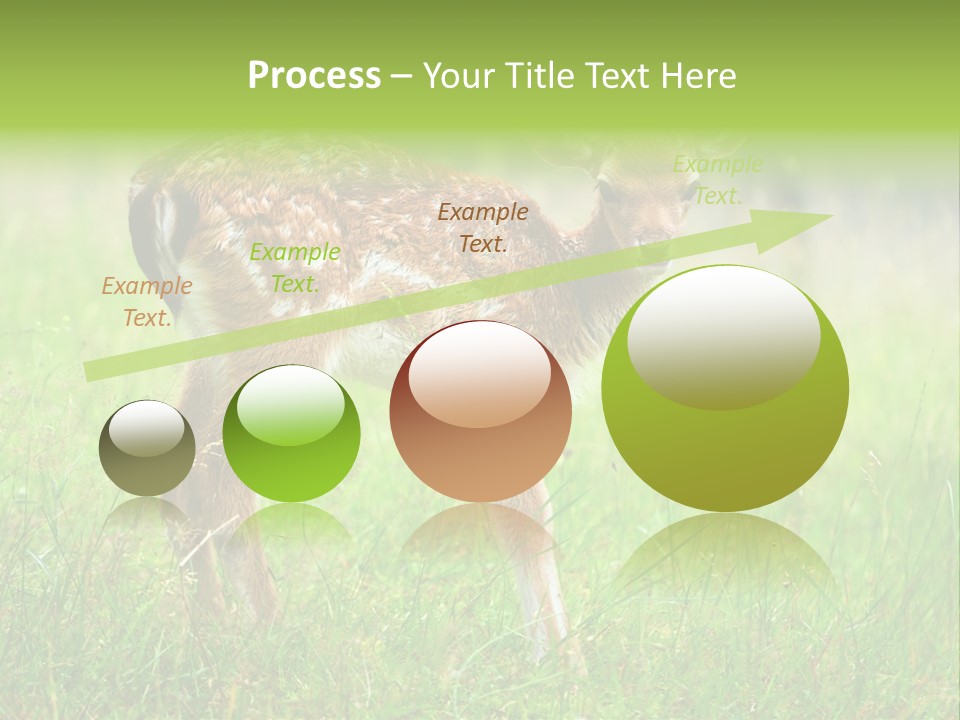 Spring Meadow Hunting PowerPoint Template