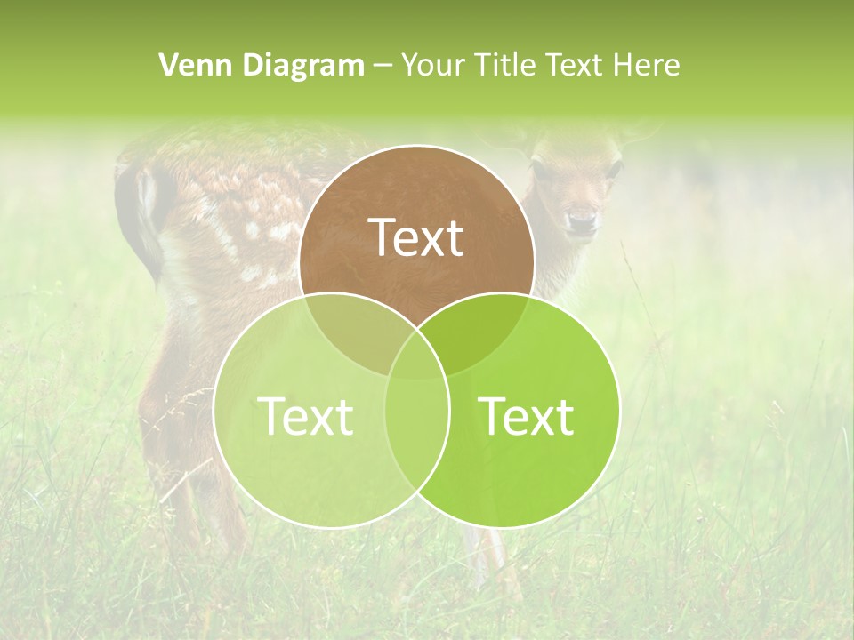 Spring Meadow Hunting PowerPoint Template