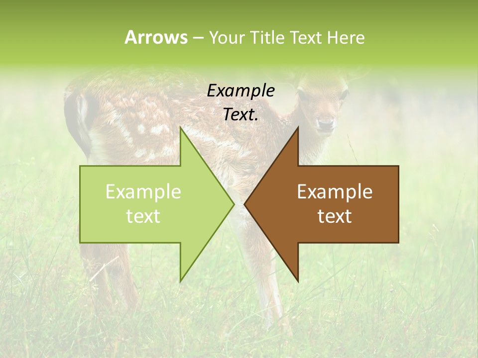 Spring Meadow Hunting PowerPoint Template