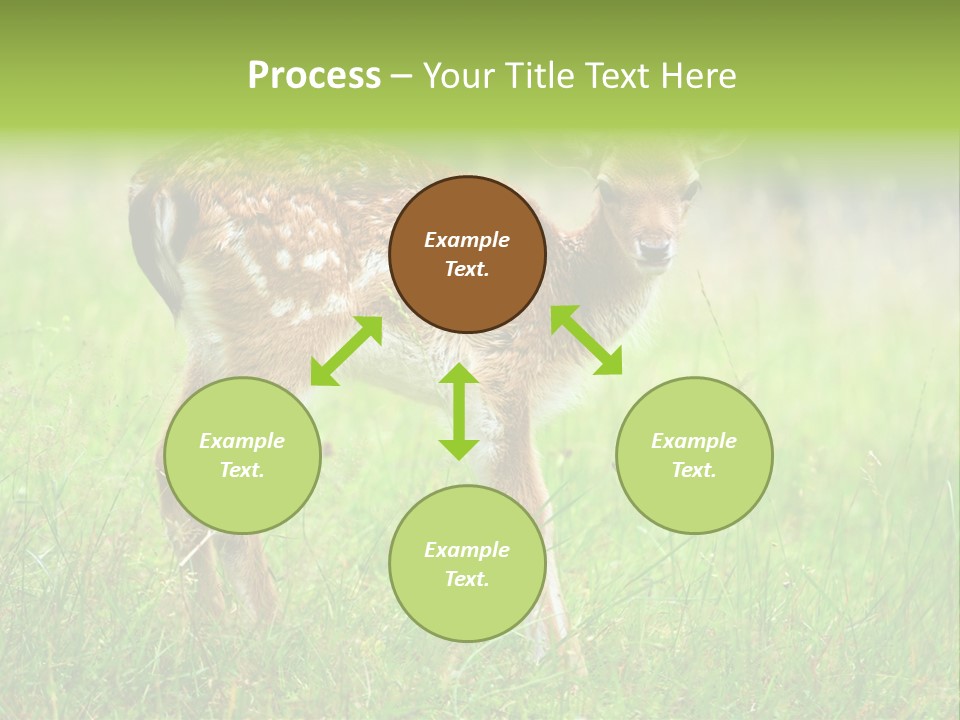 Spring Meadow Hunting PowerPoint Template