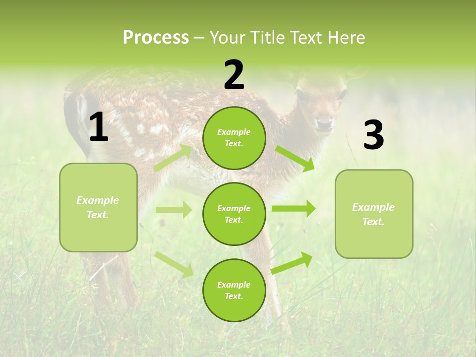 Spring Meadow Hunting PowerPoint Template