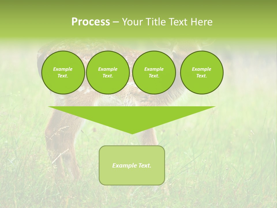 Spring Meadow Hunting PowerPoint Template