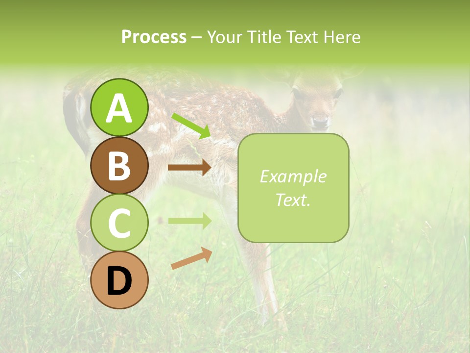 Spring Meadow Hunting PowerPoint Template