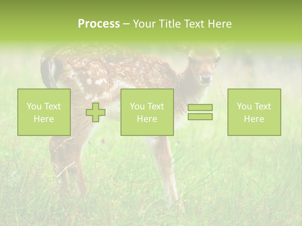 Spring Meadow Hunting PowerPoint Template