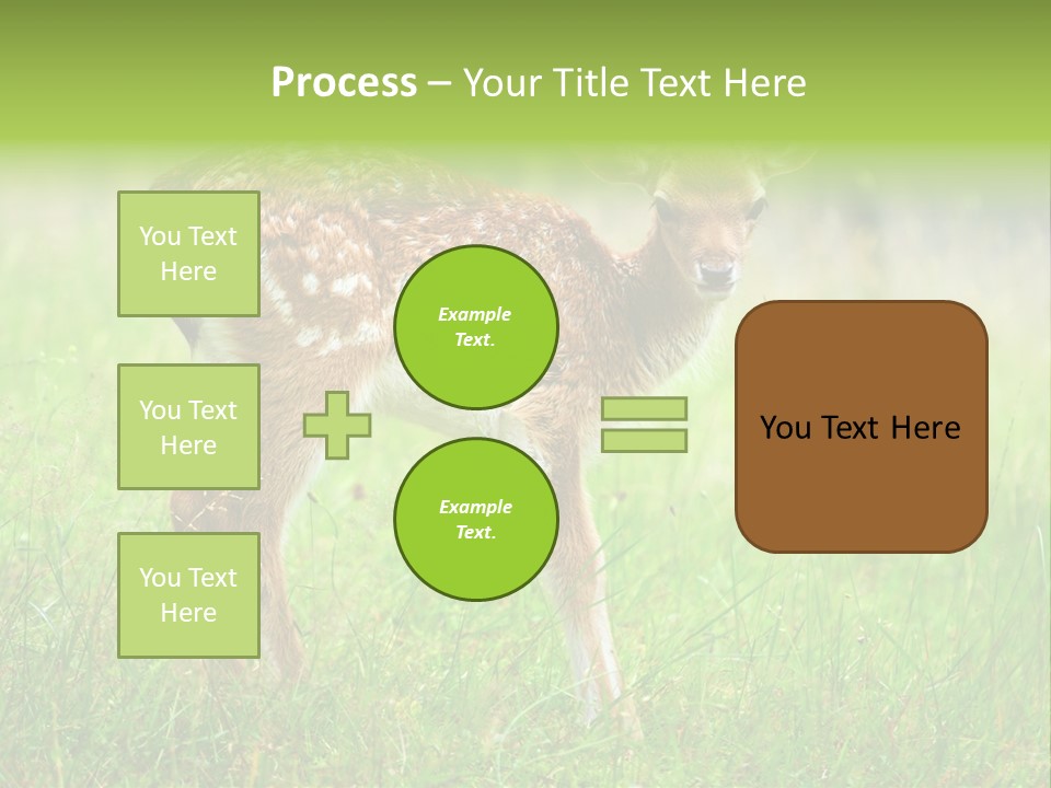 Spring Meadow Hunting PowerPoint Template