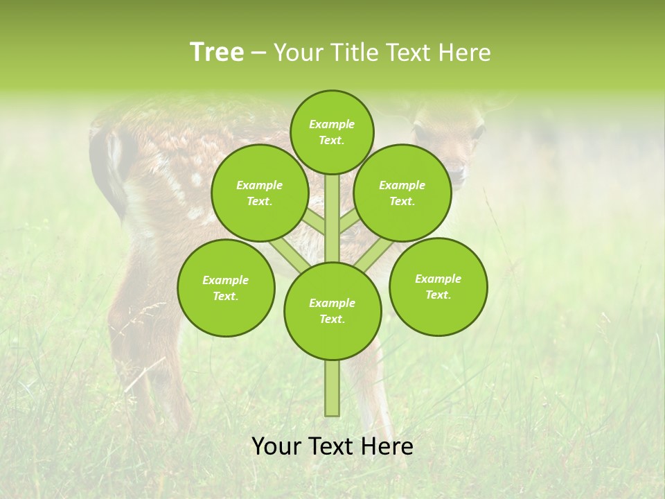 Spring Meadow Hunting PowerPoint Template
