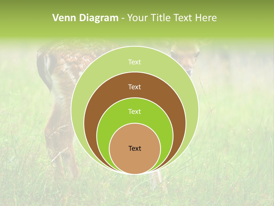 Spring Meadow Hunting PowerPoint Template