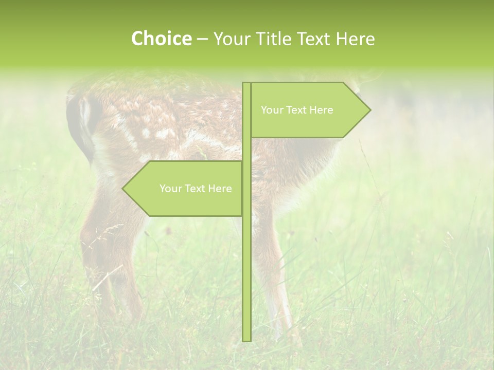 Spring Meadow Hunting PowerPoint Template