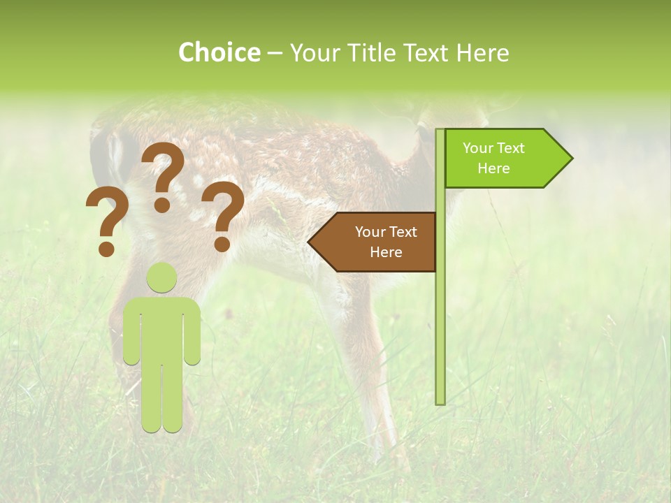 Spring Meadow Hunting PowerPoint Template