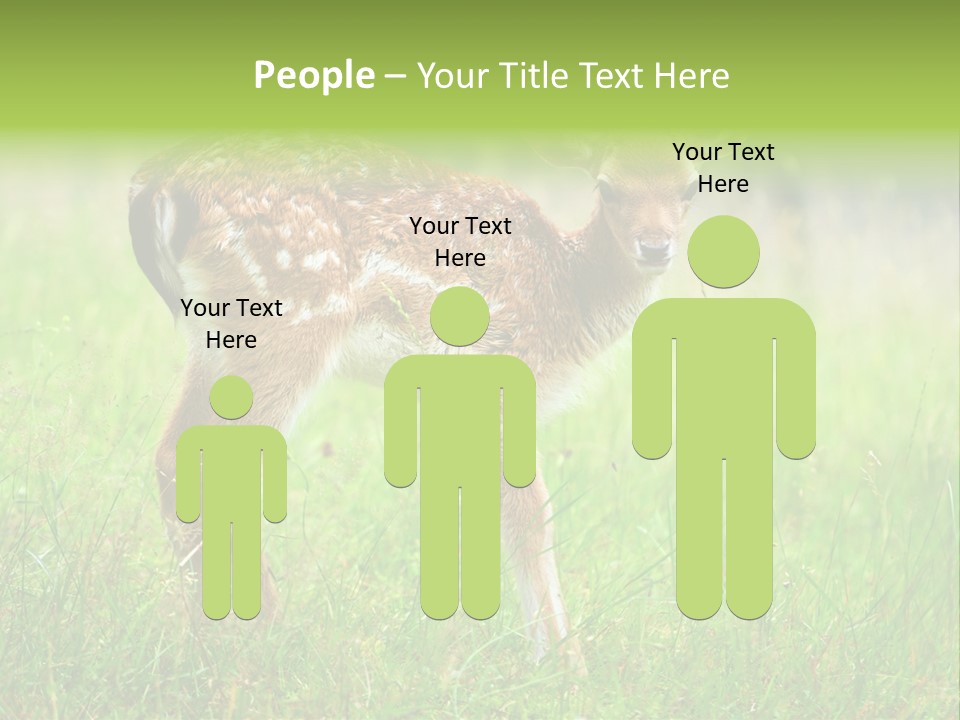 Spring Meadow Hunting PowerPoint Template