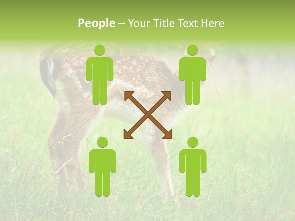 Spring Meadow Hunting PowerPoint Template