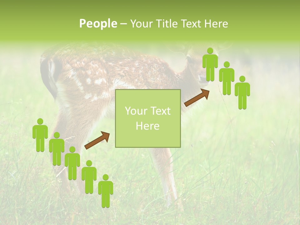 Spring Meadow Hunting PowerPoint Template