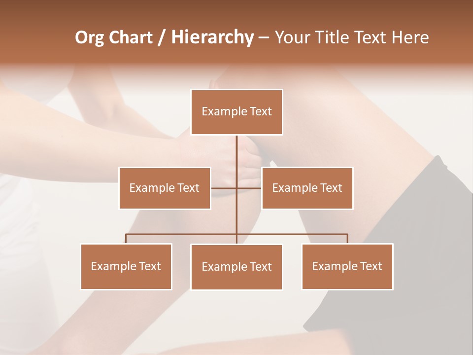Physical Therapist Diagnosis Physical Therapy PowerPoint Template