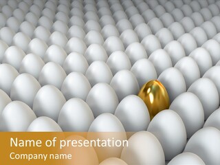 Rare Shell Savings PowerPoint Template