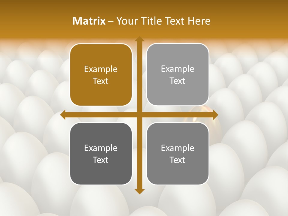 Rare Shell Savings PowerPoint Template