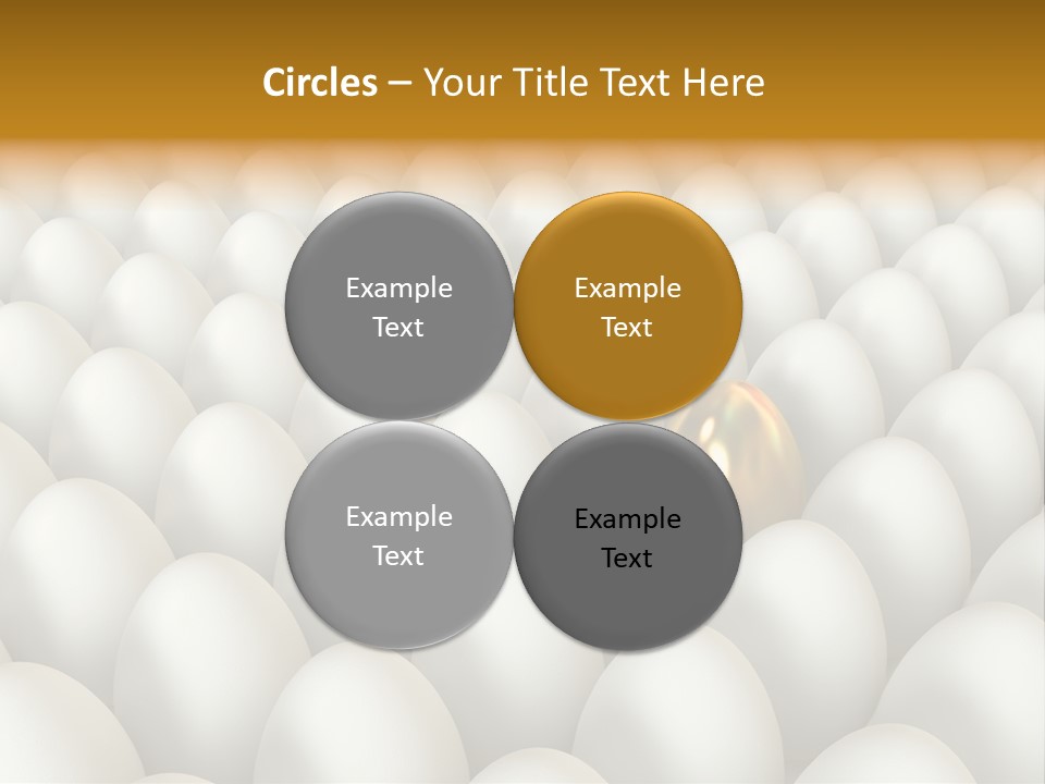 Rare Shell Savings PowerPoint Template