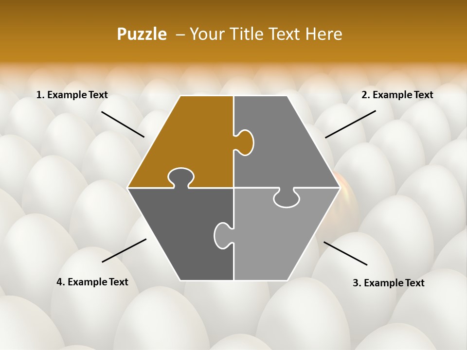 Rare Shell Savings PowerPoint Template