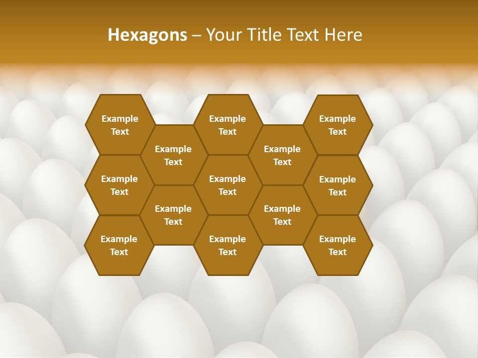 Rare Shell Savings PowerPoint Template
