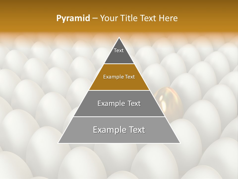 Rare Shell Savings PowerPoint Template