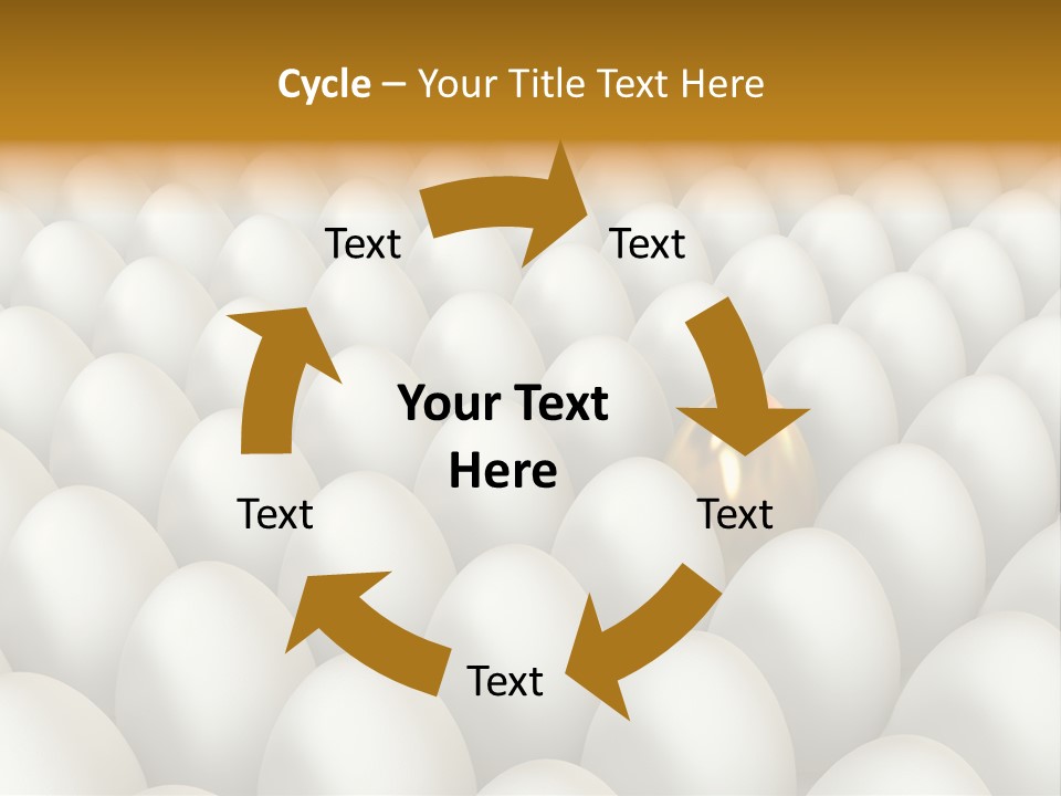 Rare Shell Savings PowerPoint Template