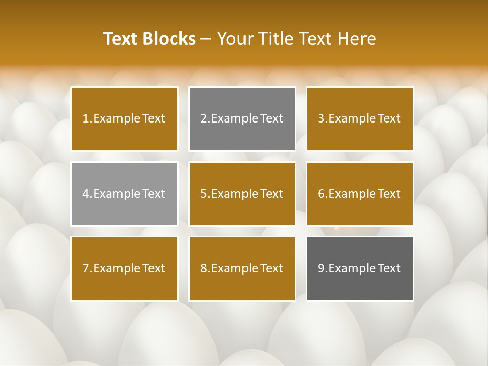Rare Shell Savings PowerPoint Template