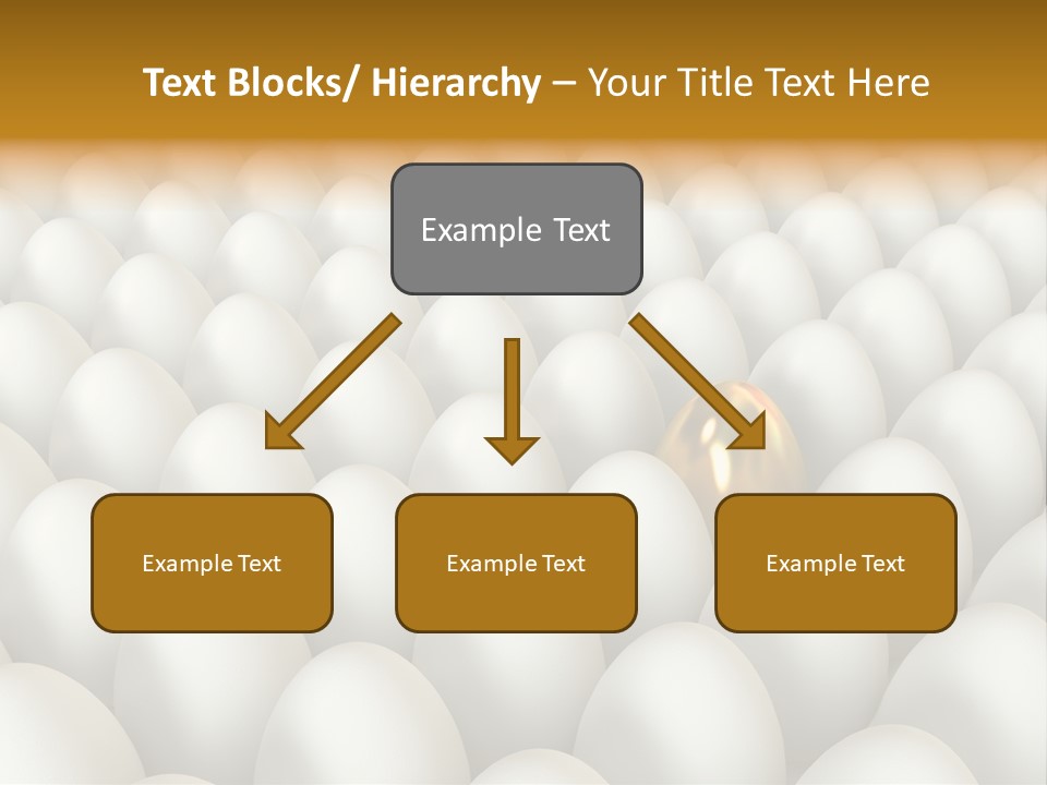 Rare Shell Savings PowerPoint Template