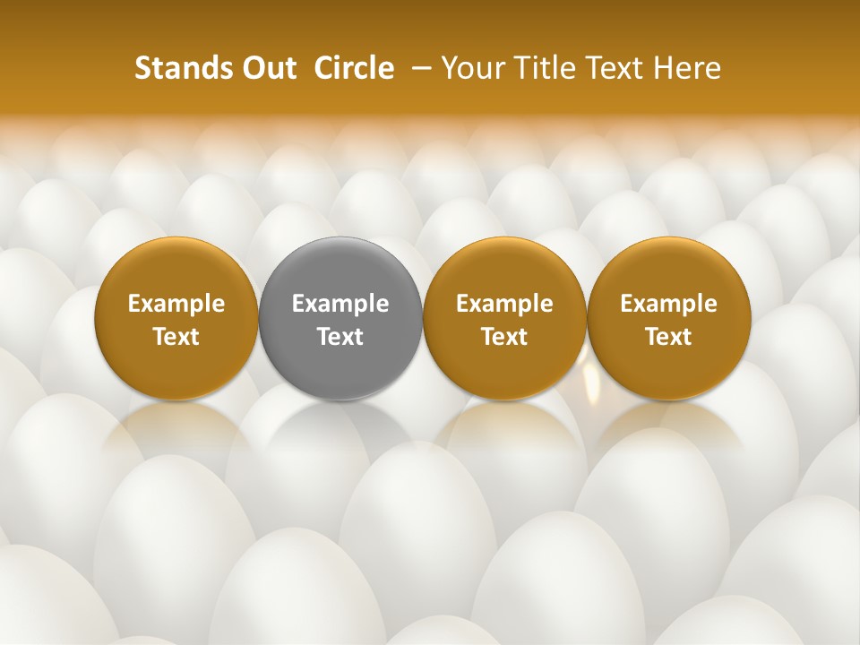 Rare Shell Savings PowerPoint Template