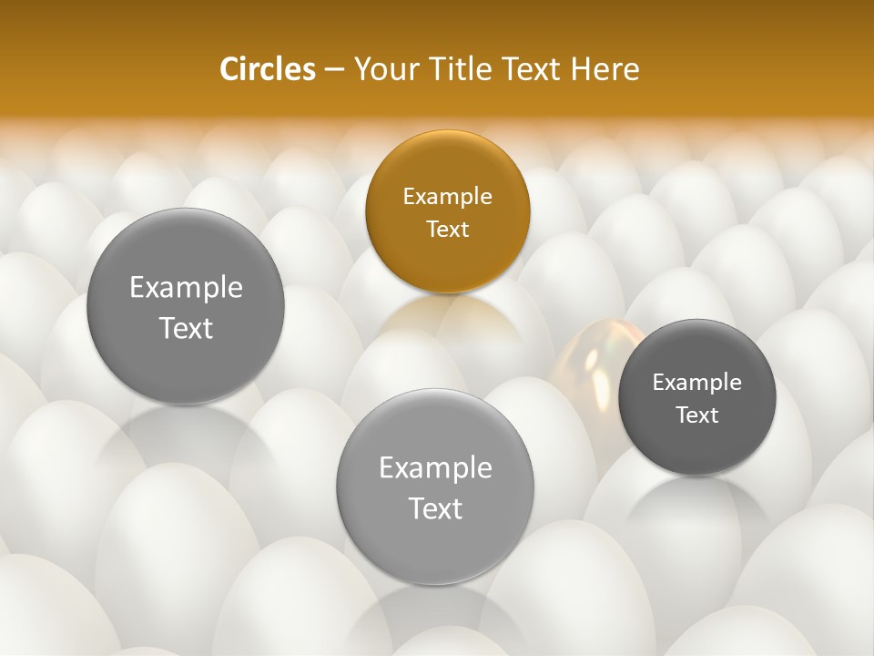 Rare Shell Savings PowerPoint Template