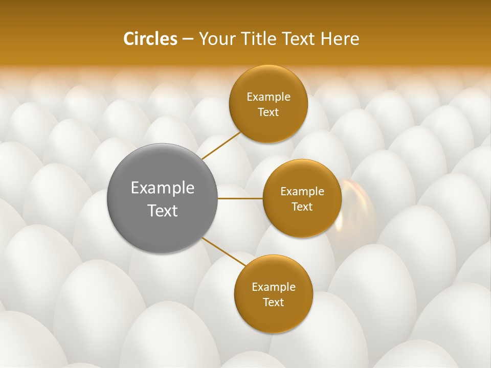 Rare Shell Savings PowerPoint Template