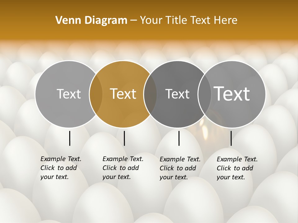 Rare Shell Savings PowerPoint Template