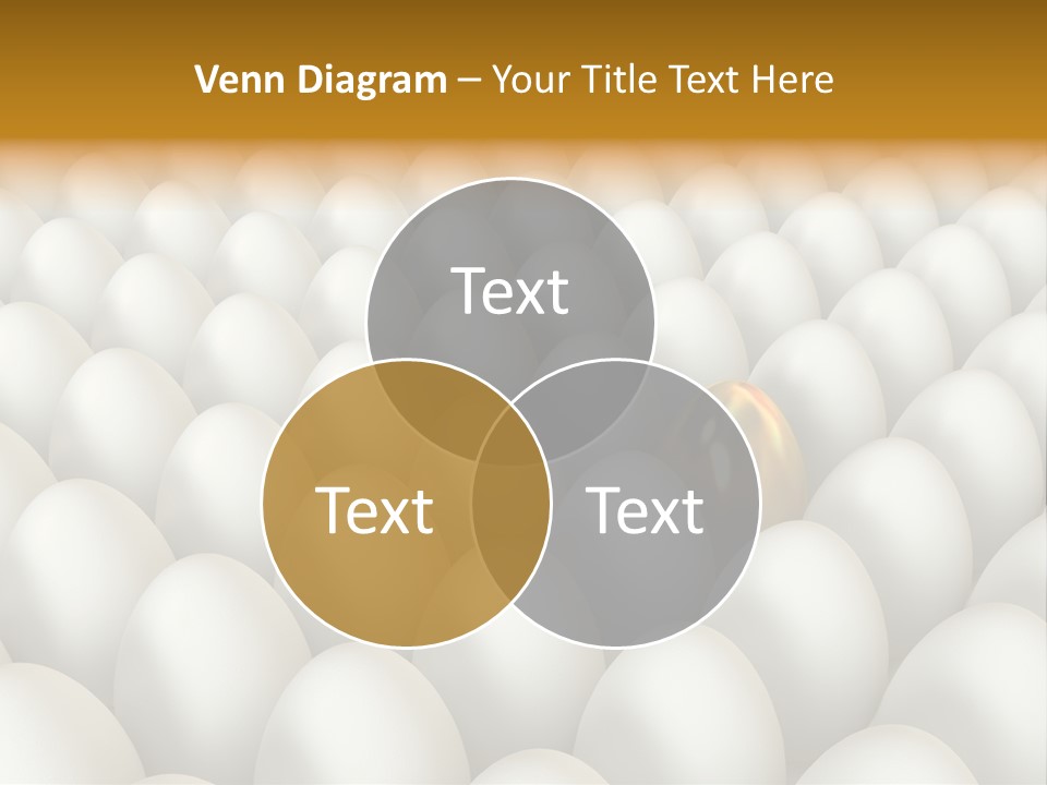 Rare Shell Savings PowerPoint Template