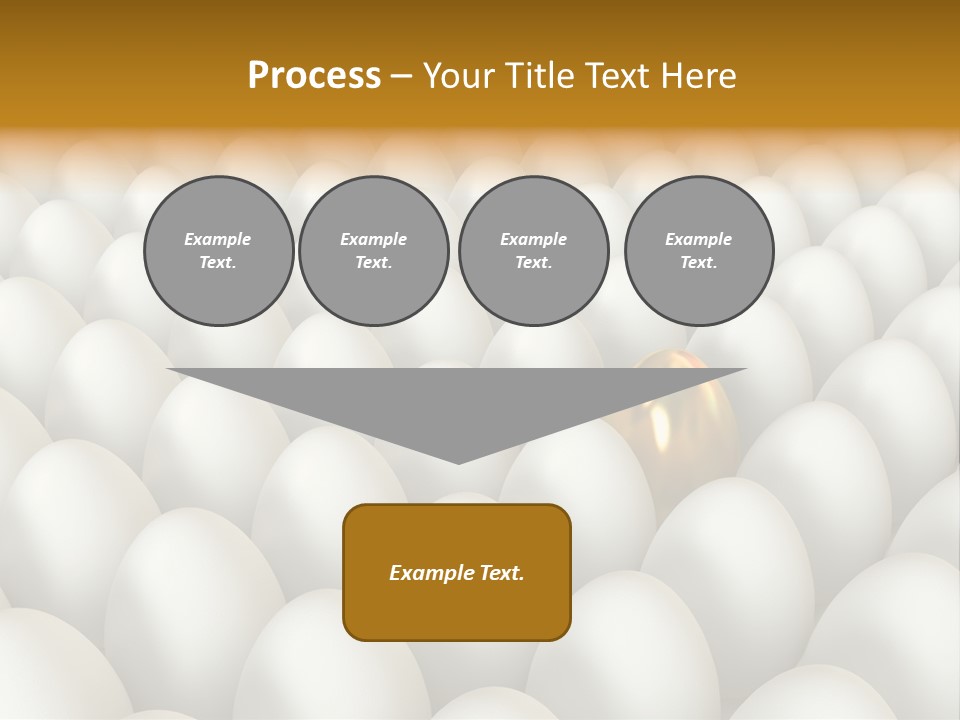 Rare Shell Savings PowerPoint Template