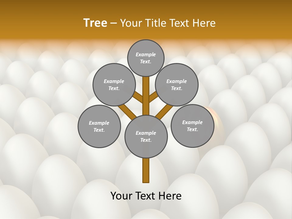 Rare Shell Savings PowerPoint Template