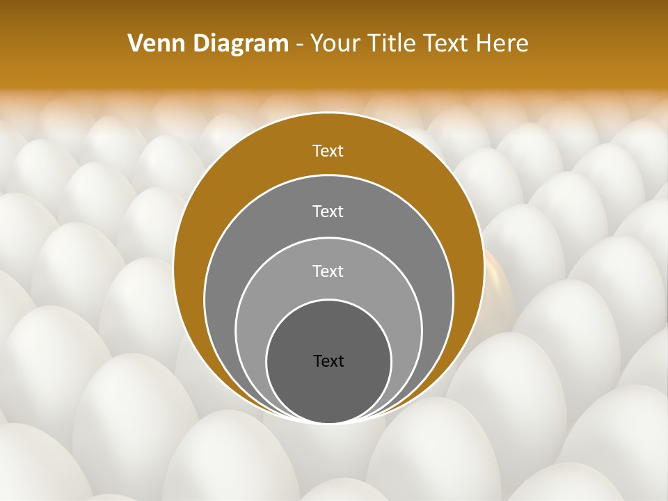 Rare Shell Savings PowerPoint Template