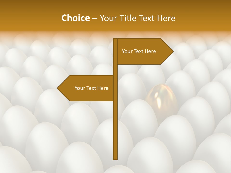 Rare Shell Savings PowerPoint Template