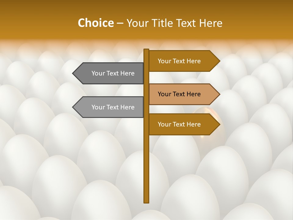 Rare Shell Savings PowerPoint Template