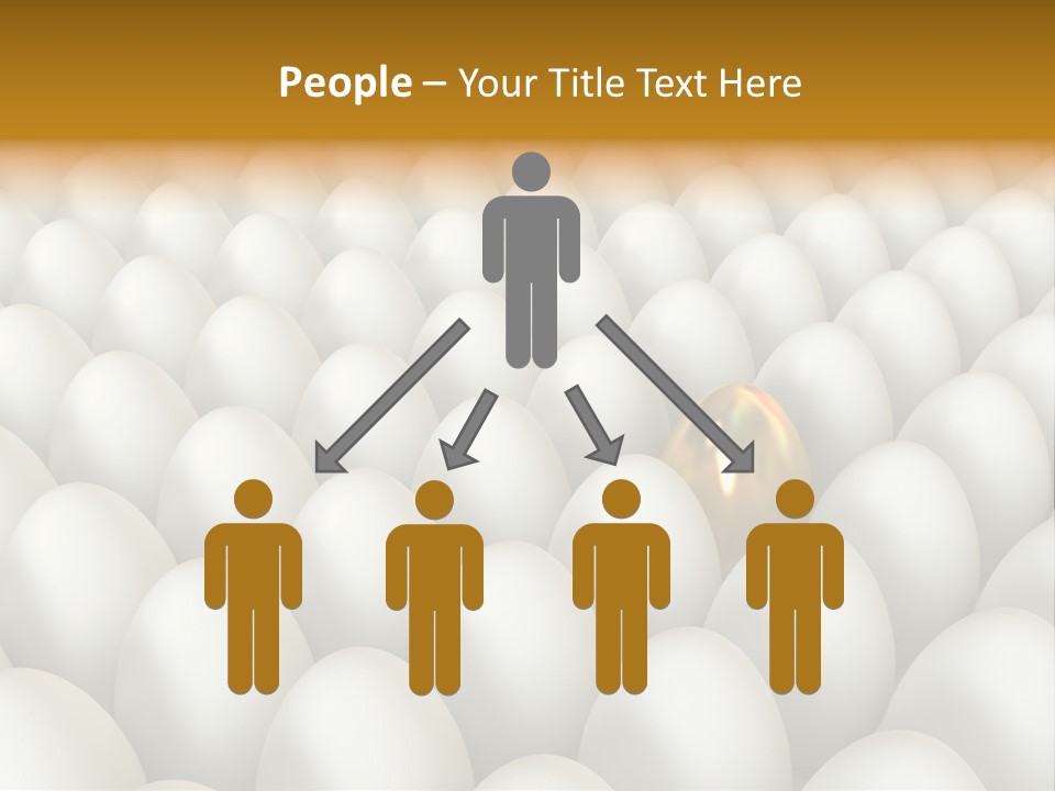 Rare Shell Savings PowerPoint Template