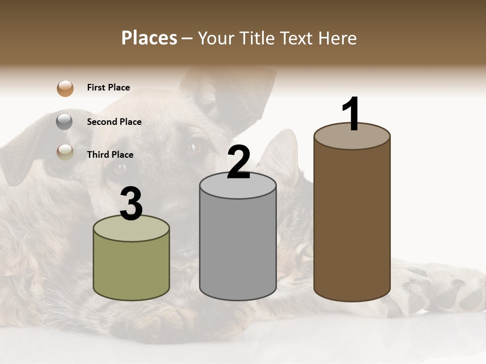 Life Woman Maine Coon PowerPoint Template