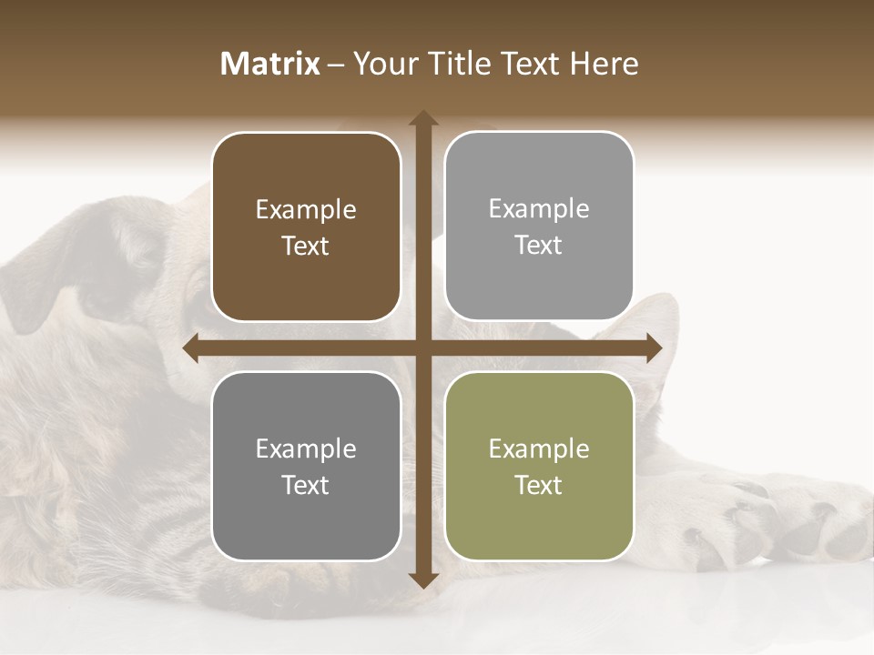 Life Woman Maine Coon PowerPoint Template