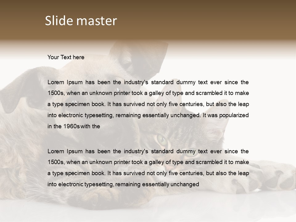 Life Woman Maine Coon PowerPoint Template