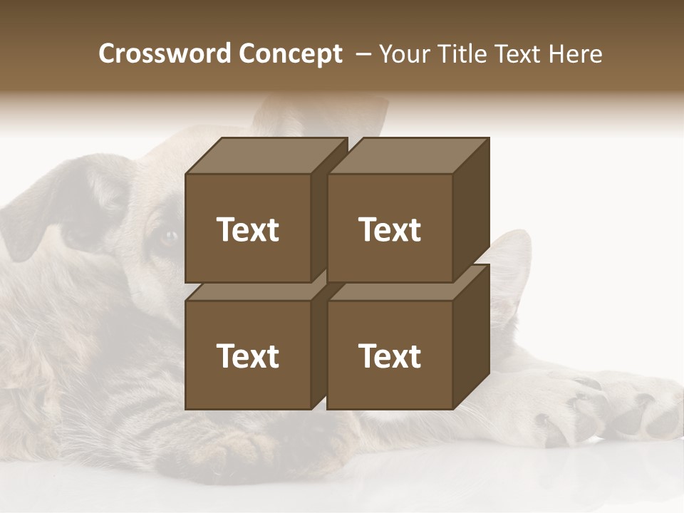 Life Woman Maine Coon PowerPoint Template