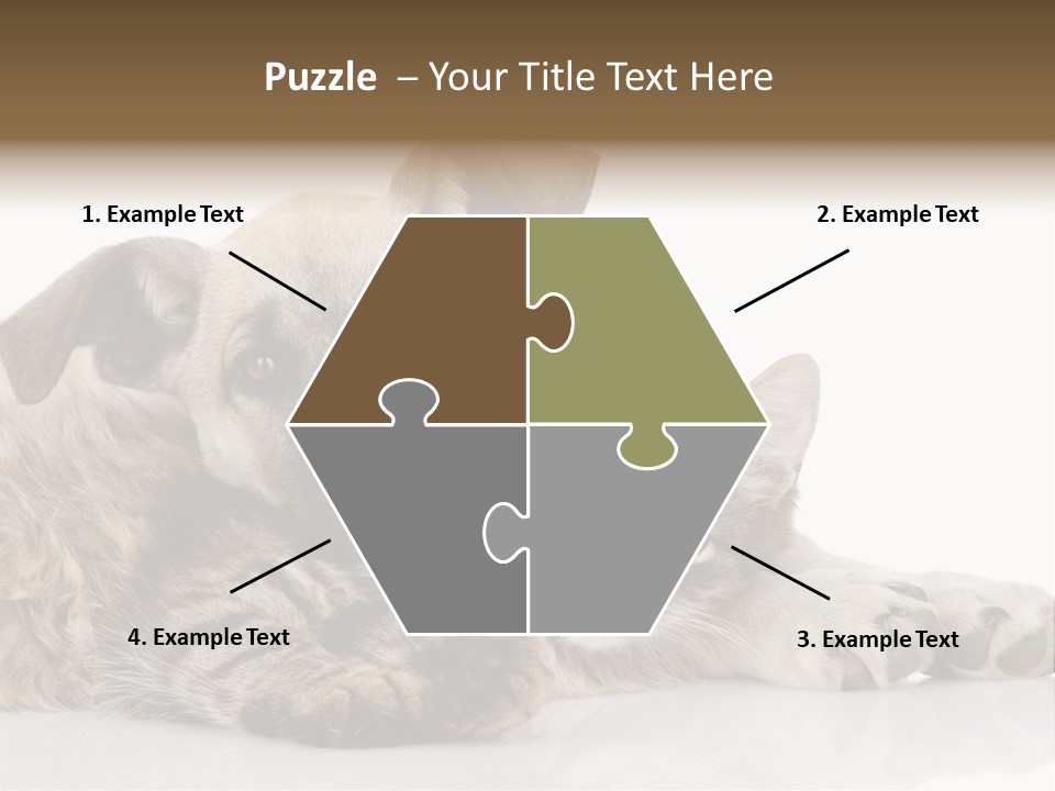 Life Woman Maine Coon PowerPoint Template