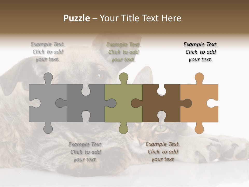 Life Woman Maine Coon PowerPoint Template