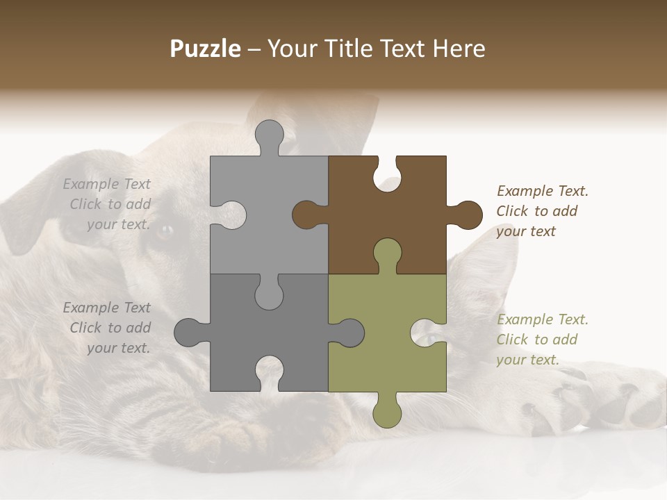 Life Woman Maine Coon PowerPoint Template