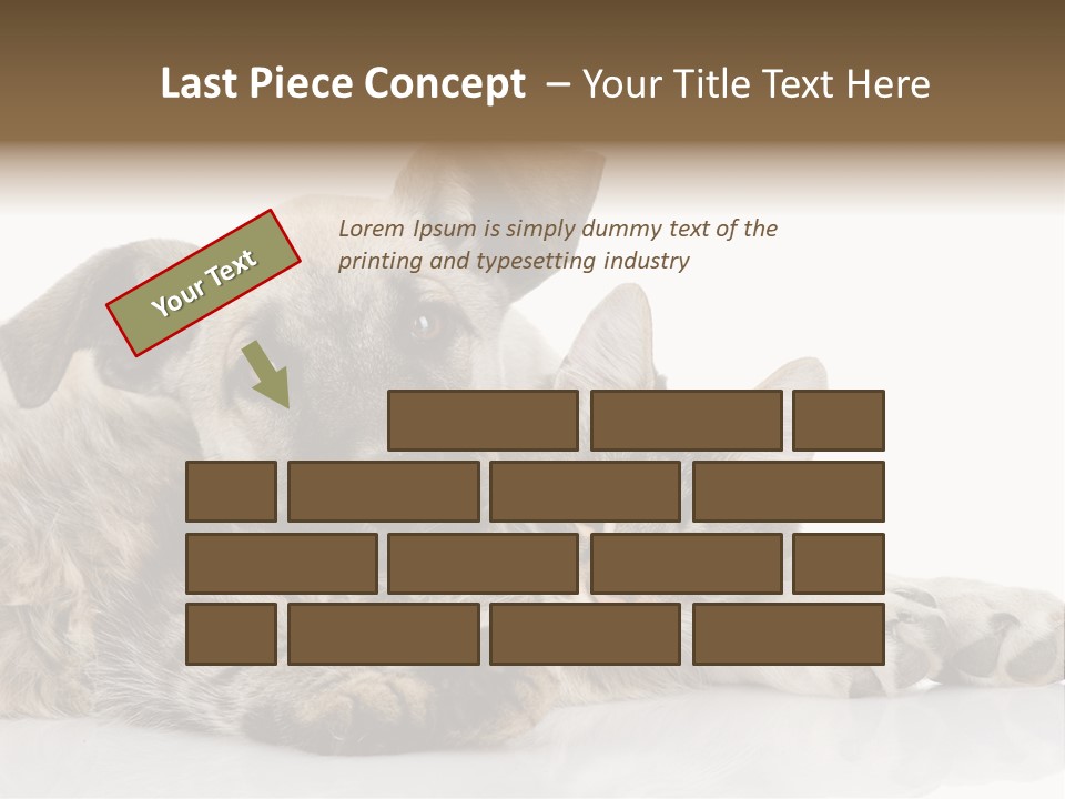 Life Woman Maine Coon PowerPoint Template