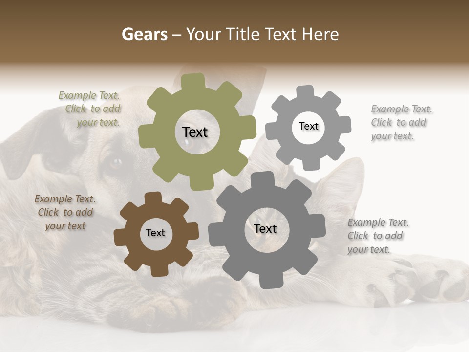 Life Woman Maine Coon PowerPoint Template