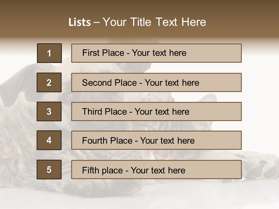 Life Woman Maine Coon PowerPoint Template